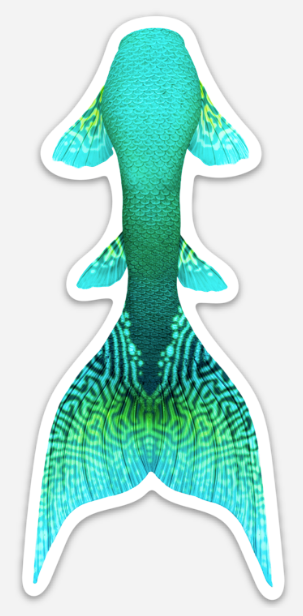 Humphead Wrasse Signature Tail Sticker