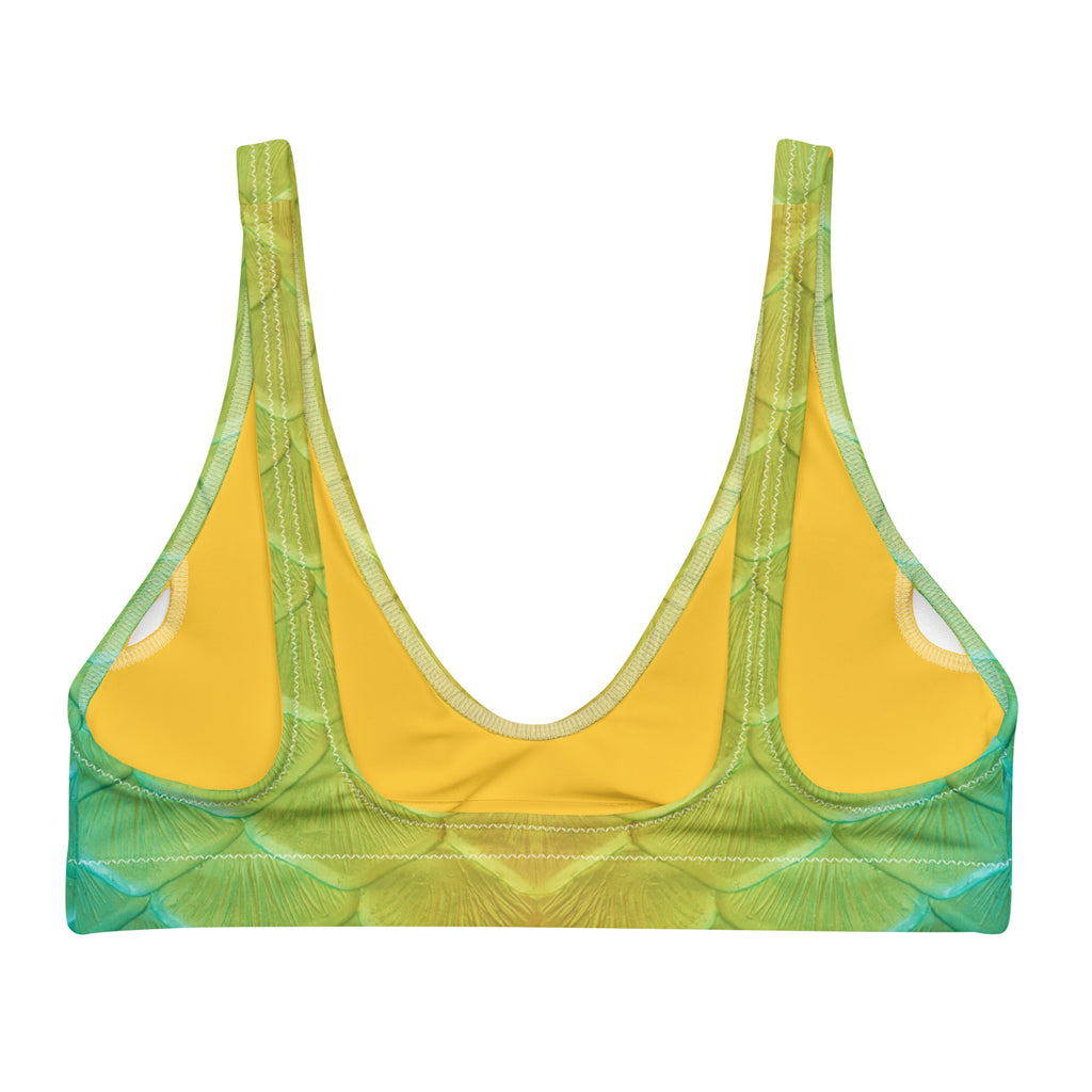 Jellyfish Jungle Recycled Padded Bikini Top