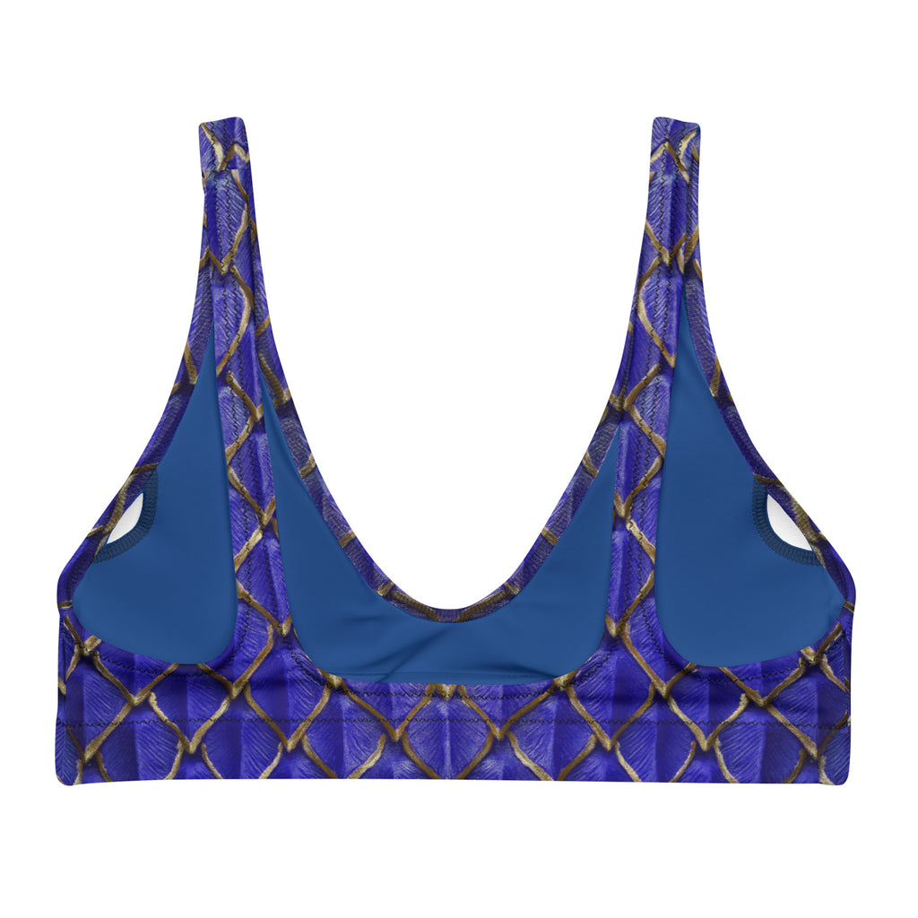 Saphira Recycled Padded Bikini Top