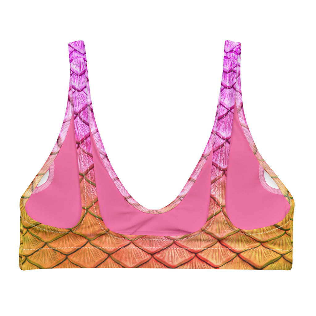 Lilikoi Recycled padded bikini top