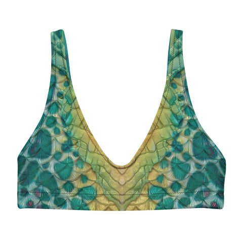 Abalone Abyss Recycled Padded Bikini Top