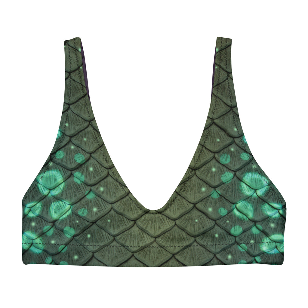 Amphibia Recycled Padded Bikini Top