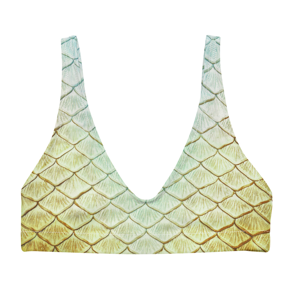Golden Giza Recycled Padded Bikini Top