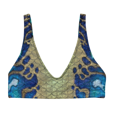 Abalone Abyss Recycled Padded Bikini Top