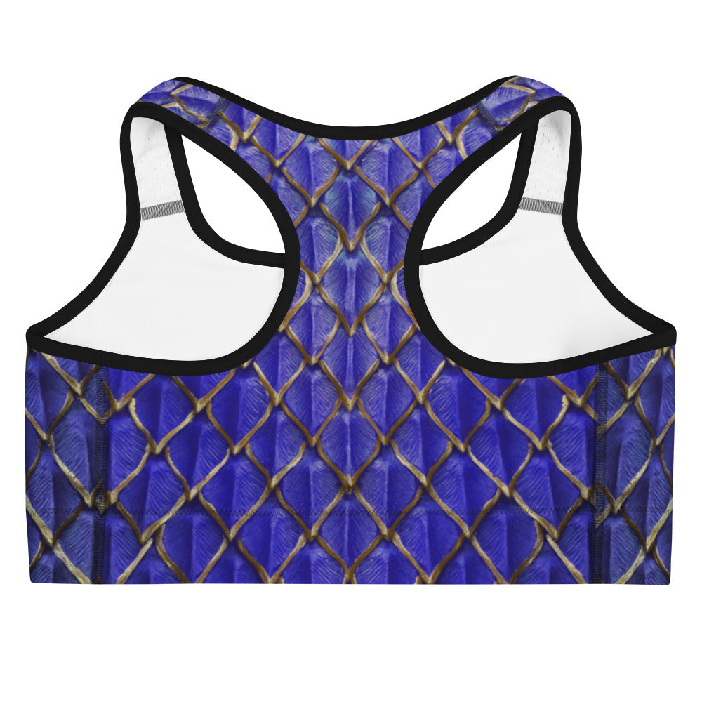 Saphira Sports Bra