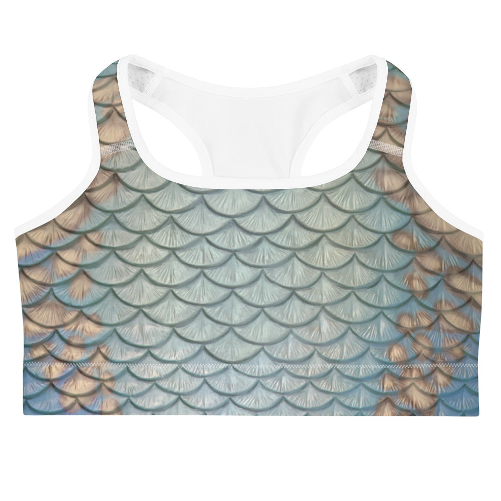 Moonshell Sports bra