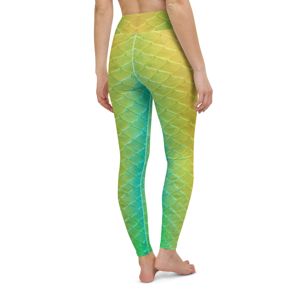 Jellyfish Jungle High Waisted Leggings