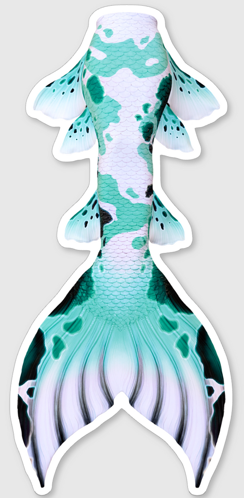Caspian Koi Signature Tail Sticker