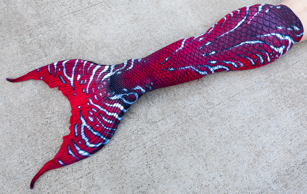 Zaleska Merbella by Finfolk Discovery Fabric Tail READY TO SHIP