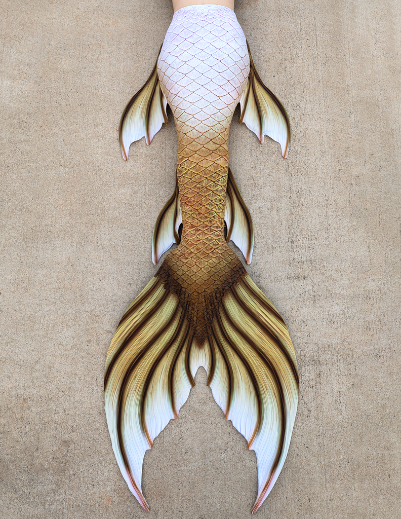 Tail of the Month: Olympia Signature Fabric Tail