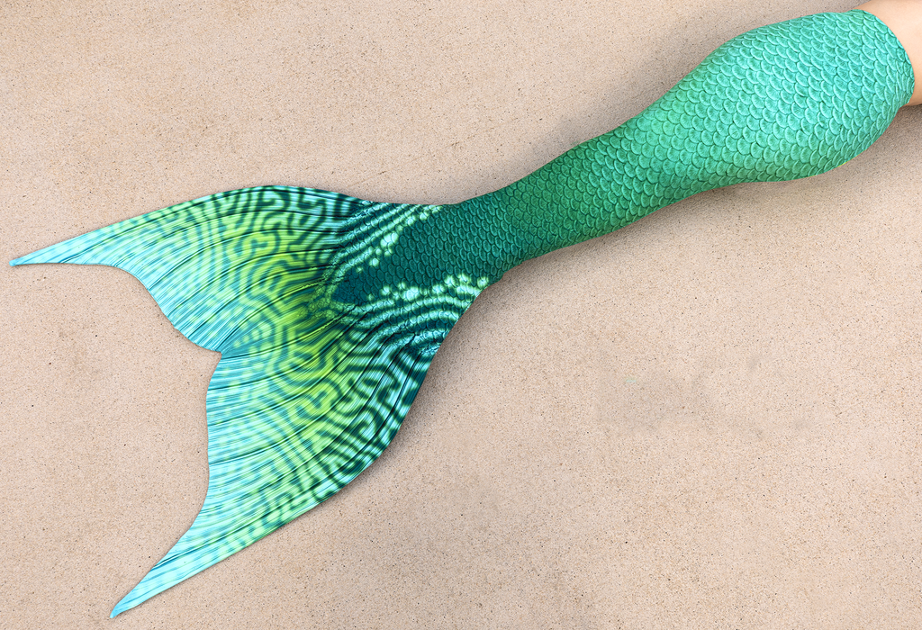 Humphead Wrasse Signature Fabric Tail - READY TO SHIP