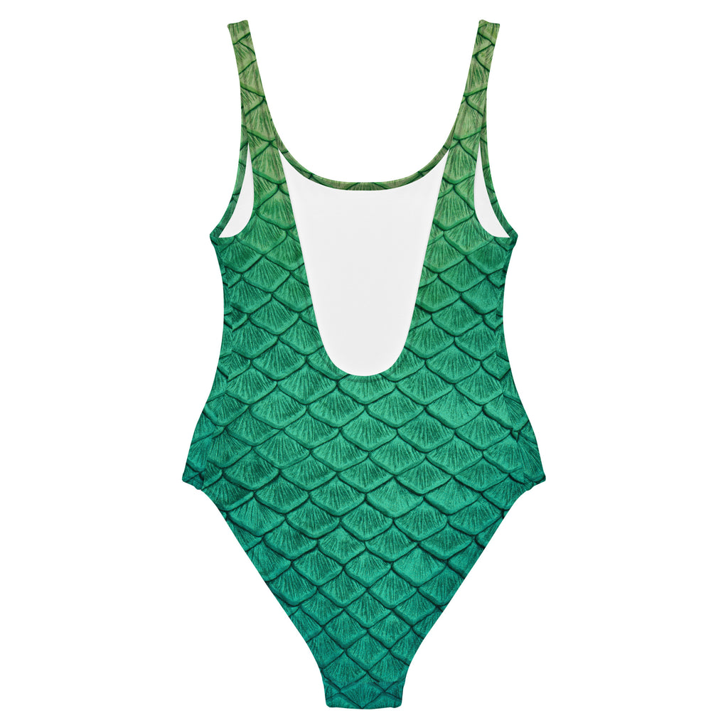 Secret of Skye One-Piece Swimsuit