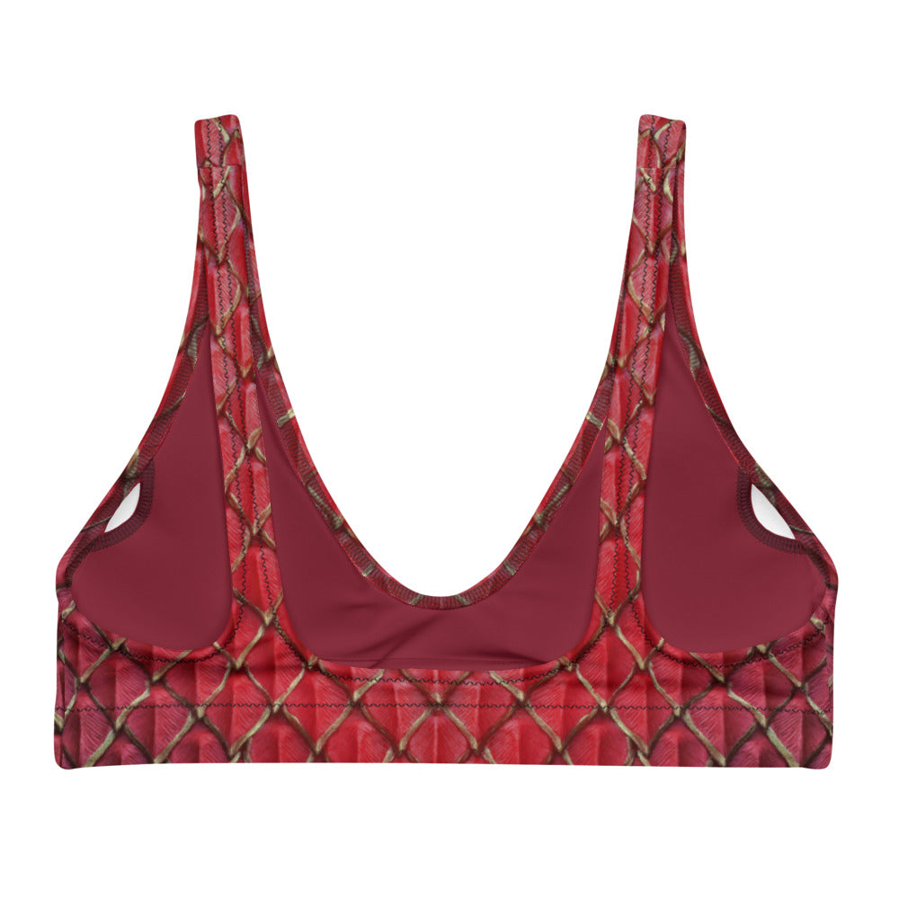 Dragonheart Recycled Padded Bikini Top