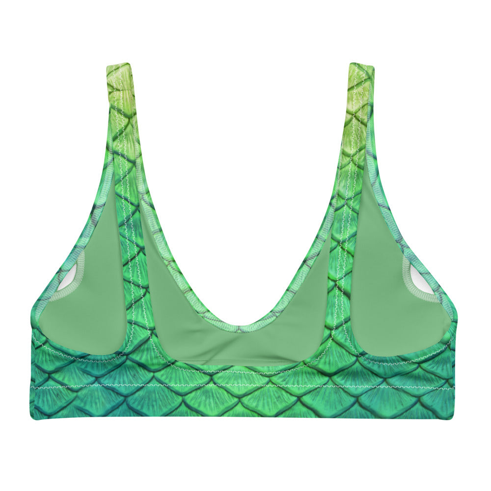 Shoal Green Recycled Padded Bikini Top