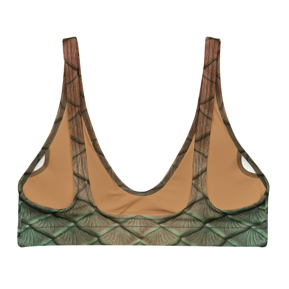 Riverbend Recycled Padded Bikini Top