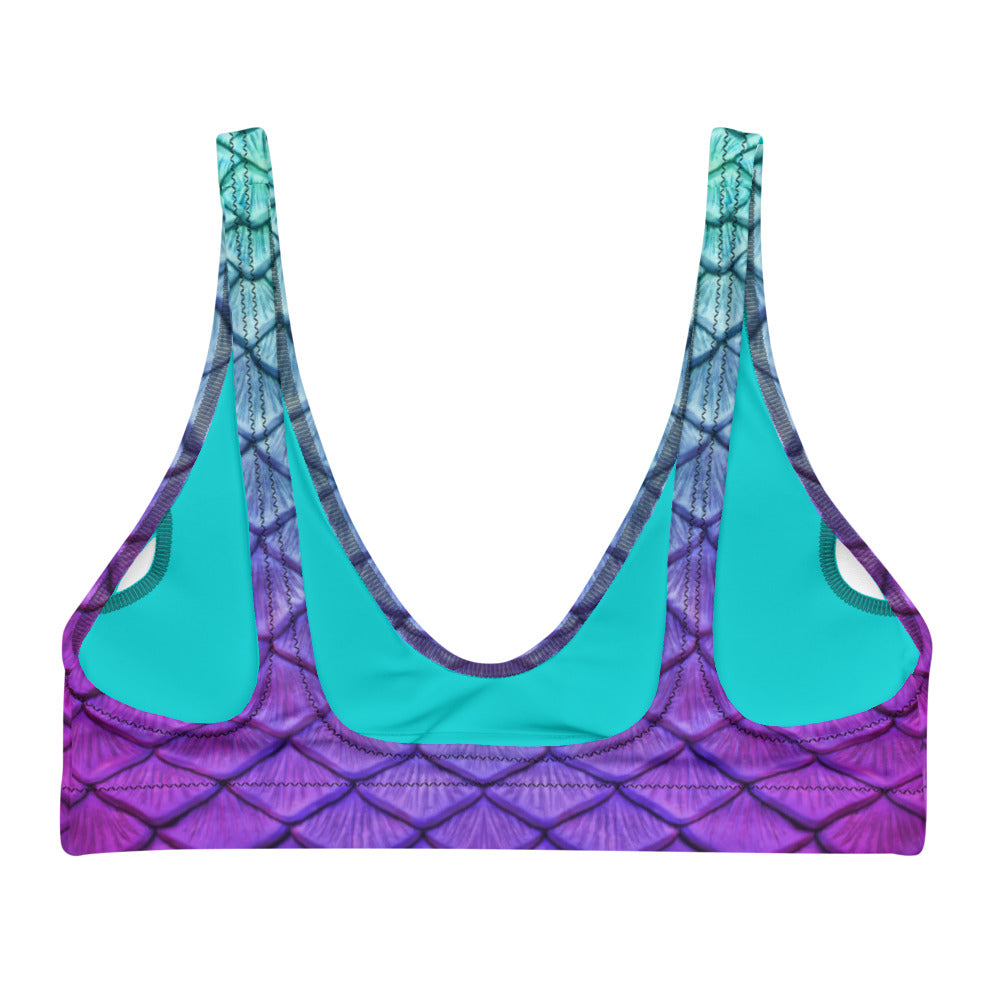 Island Iris Recycled Padded Bikini Top