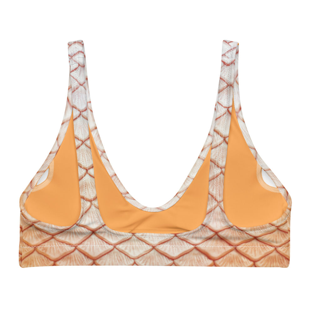 Classic Cleo Recycled Padded Bikini Top