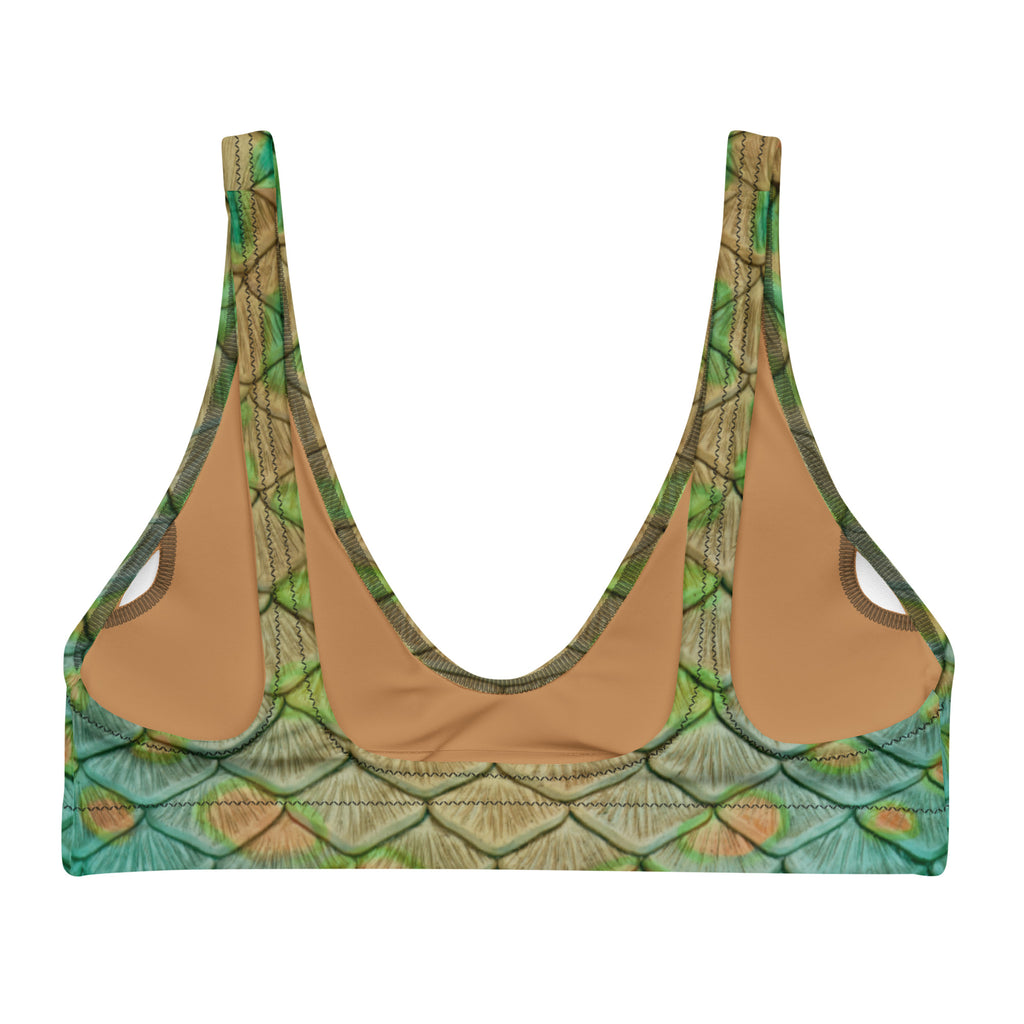 Pumpkinseed Recycled Padded Bikini Top
