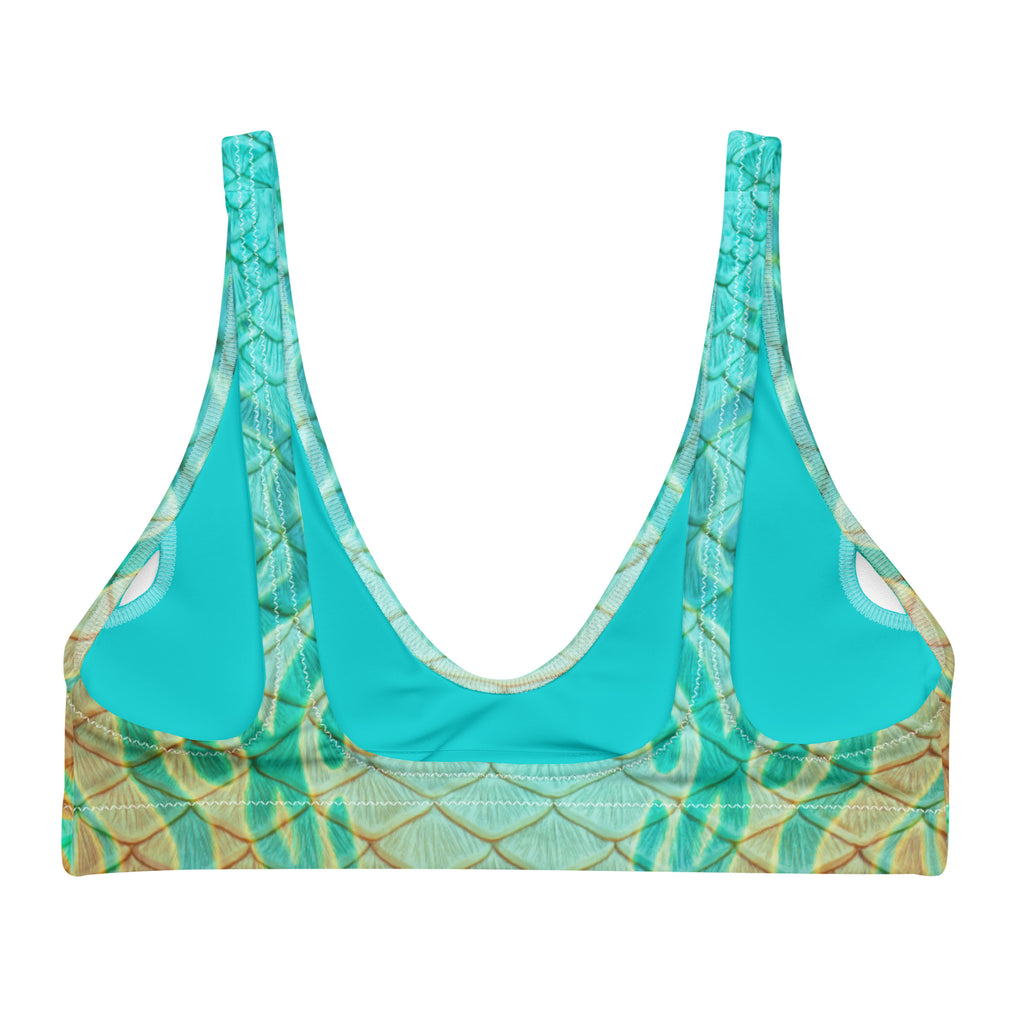 Oasis Recycled Padded Bikini Top