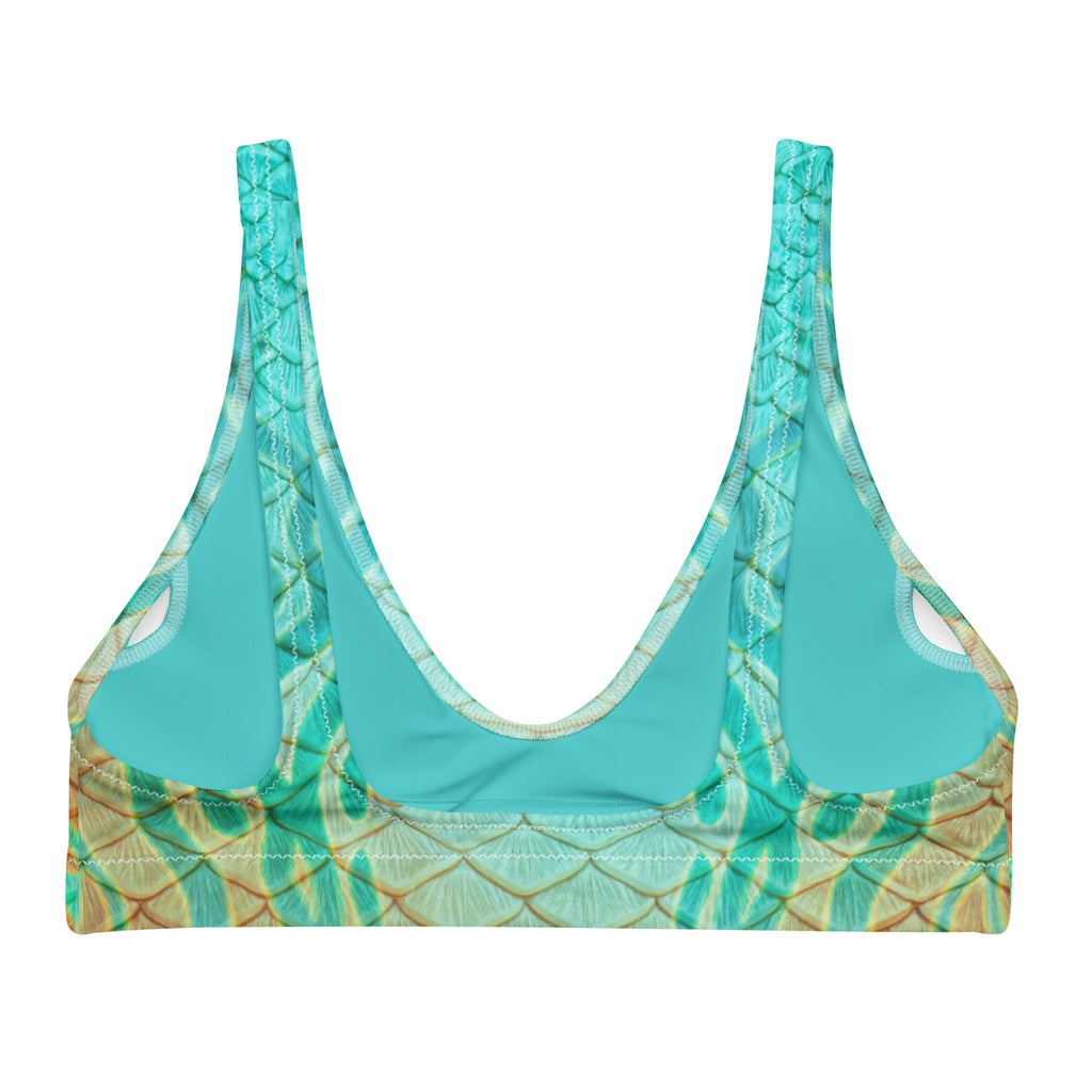 Oasis Recycled Padded Bikini Top