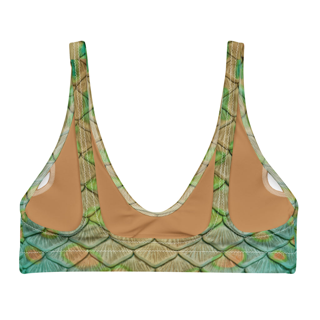 Pumpkinseed Recycled Padded Bikini Top