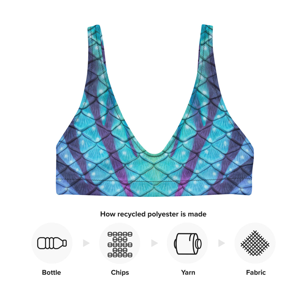 Navi Nightfall Recycled Padded Bikini Top