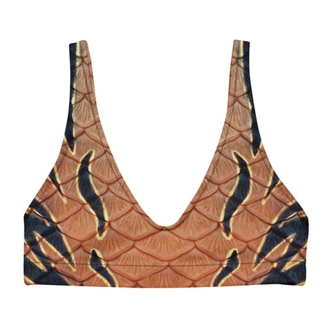 Abalone Abyss Recycled Padded Bikini Top
