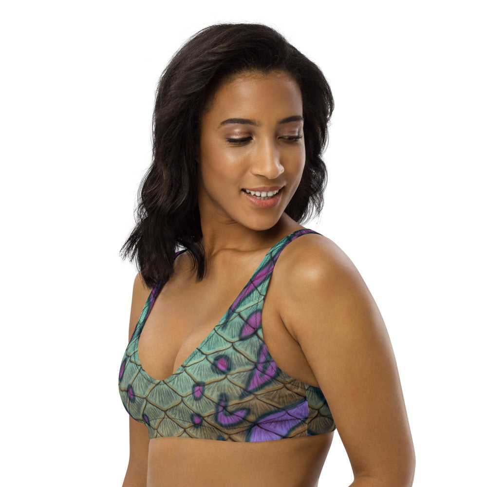 Treasure Cove Recycled Padded Bikini Top