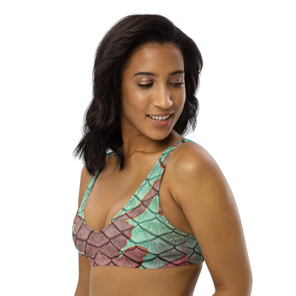 The Nautilus Recycled Padded Bikini Top