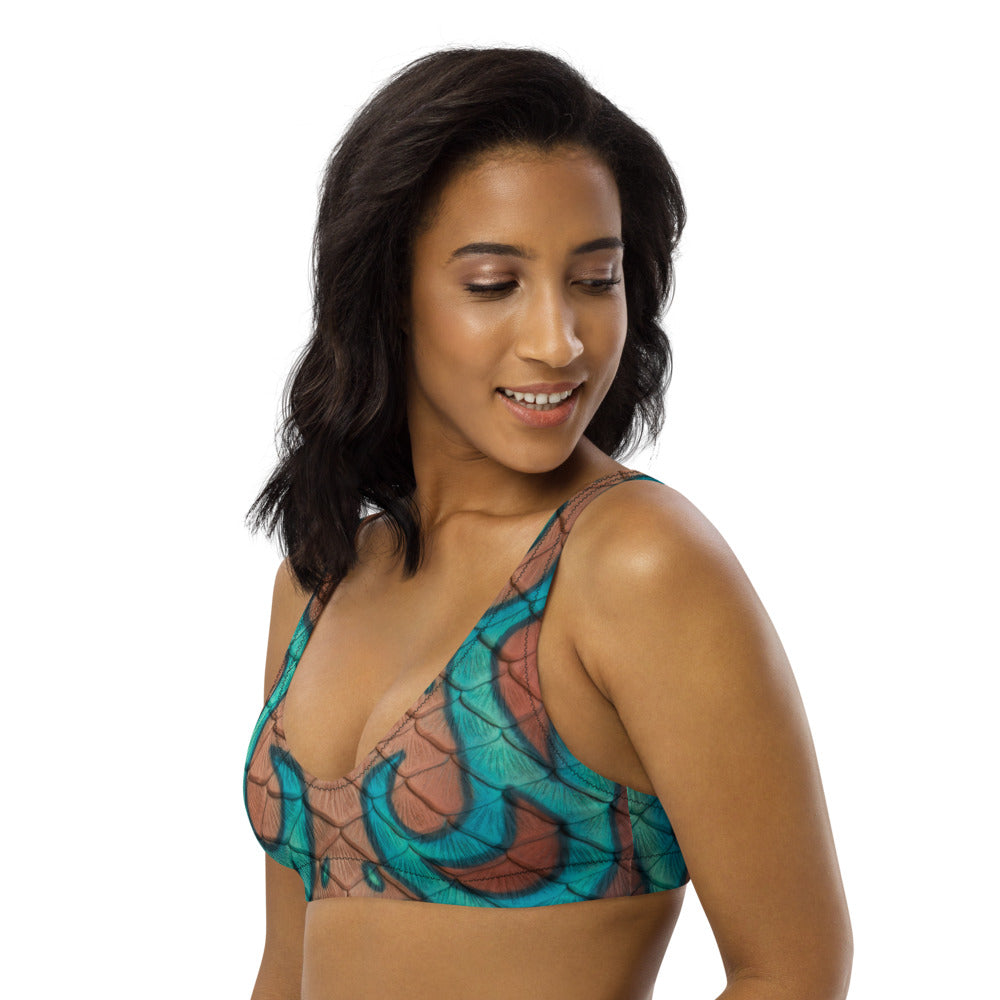 Jewel of Jupiter Recycled Padded Bikini Top