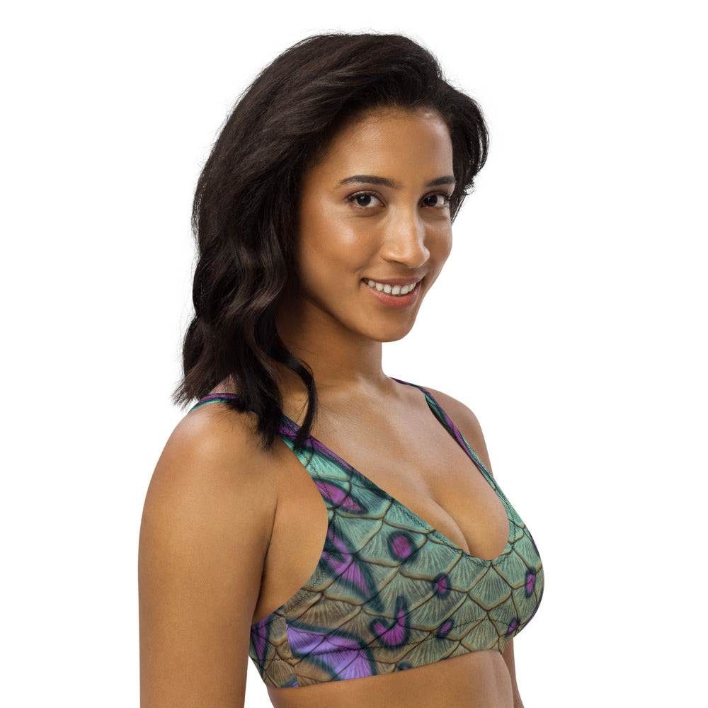 Treasure Cove Recycled Padded Bikini Top