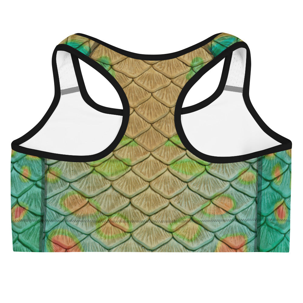 Pumpkinseed Sports Bra