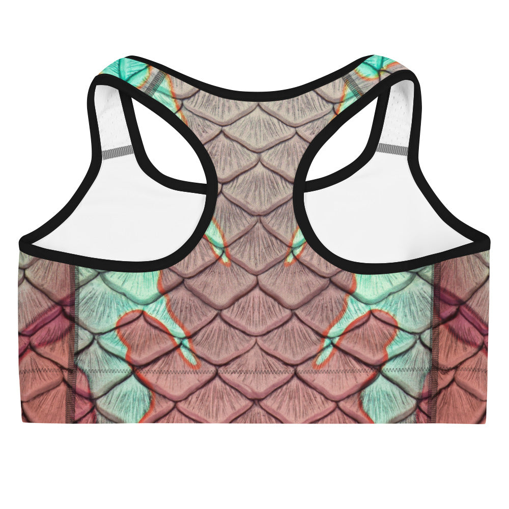 The Nautilus Sports Bra