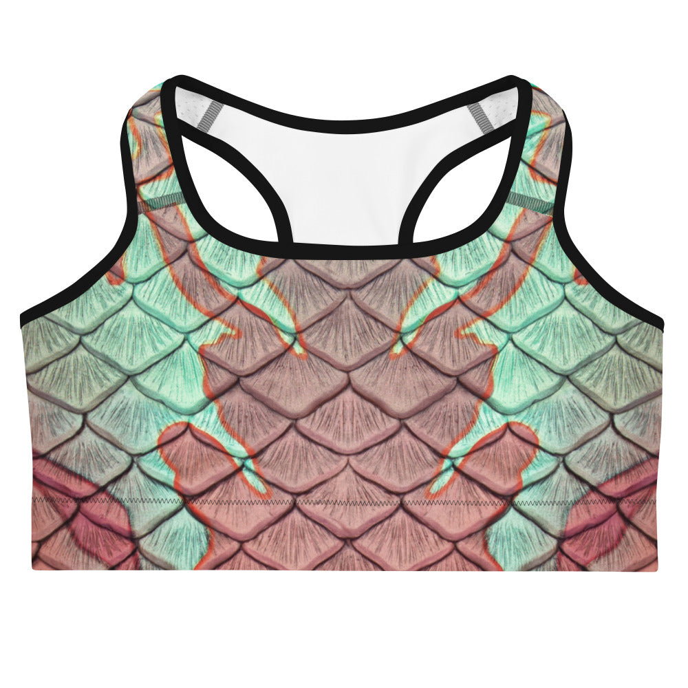 The Nautilus Sports Bra