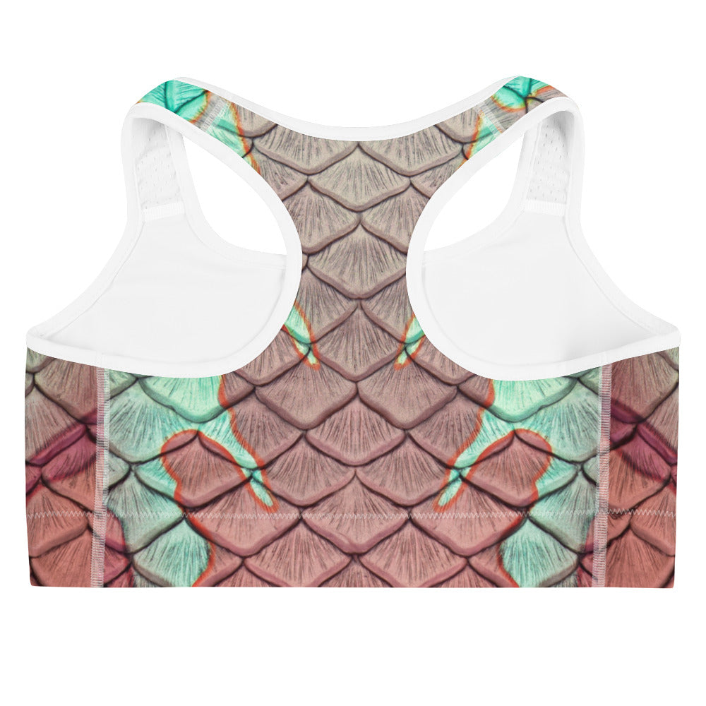 The Nautilus Sports Bra