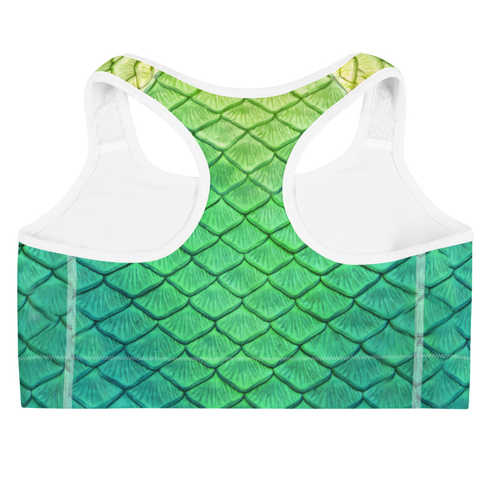 Shoal Green Sports Bra