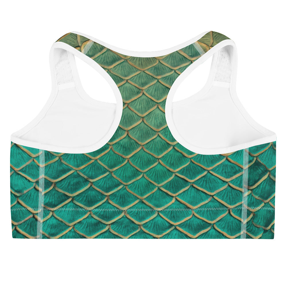 The Ten Year Sports Bra