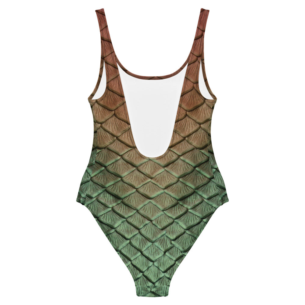 Riverbend One-Piece Swimsuit