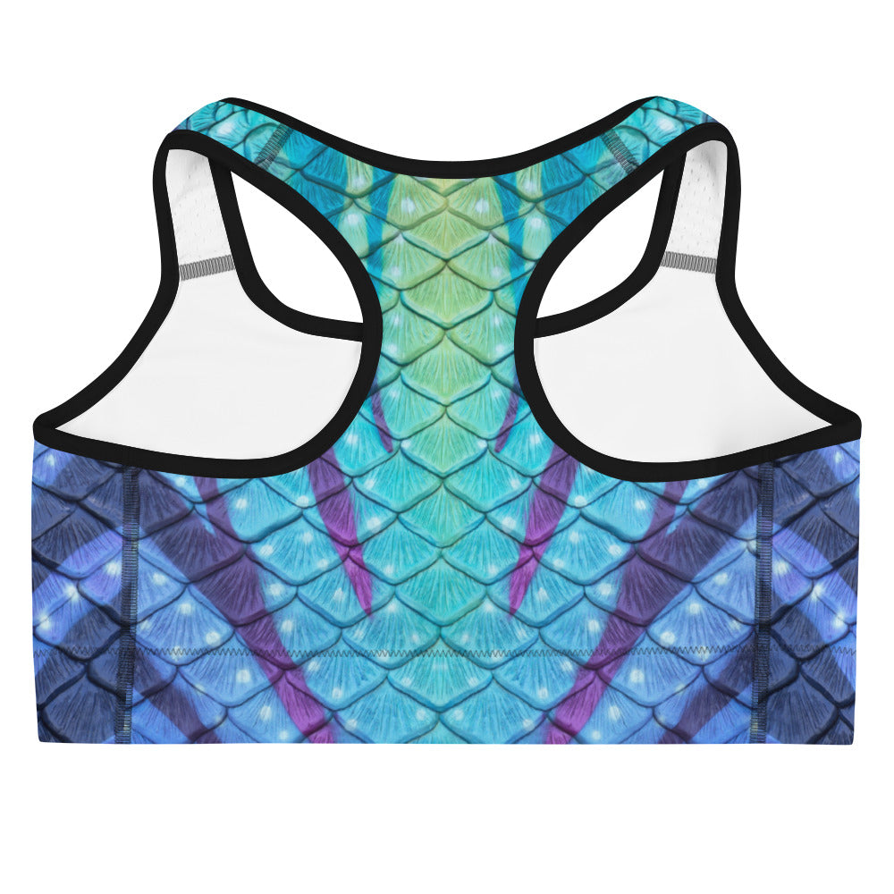 Navi Nightfall Sports Bra