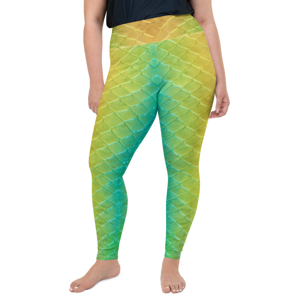 Jellyfish Jungle Plus Size Leggings