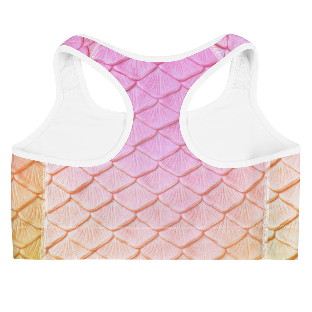 Rainbow Fairytail Sports Bra