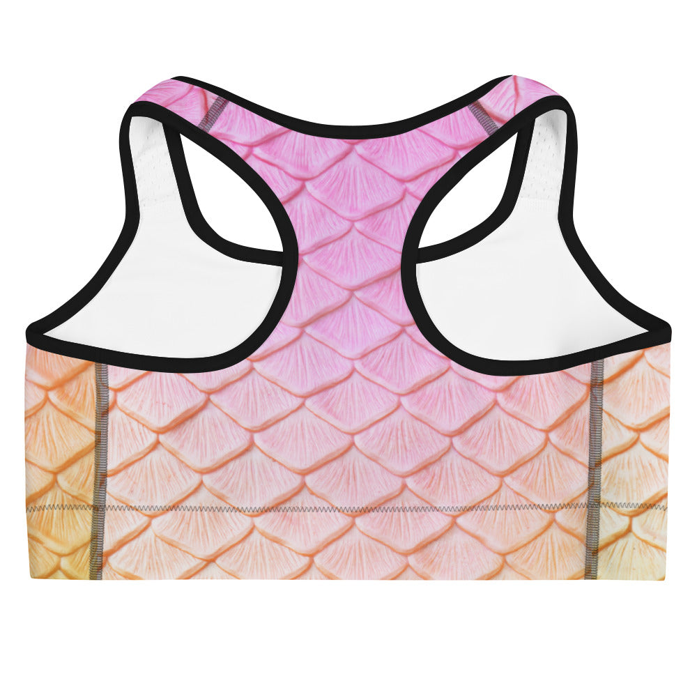 Rainbow Fairytail Sports Bra
