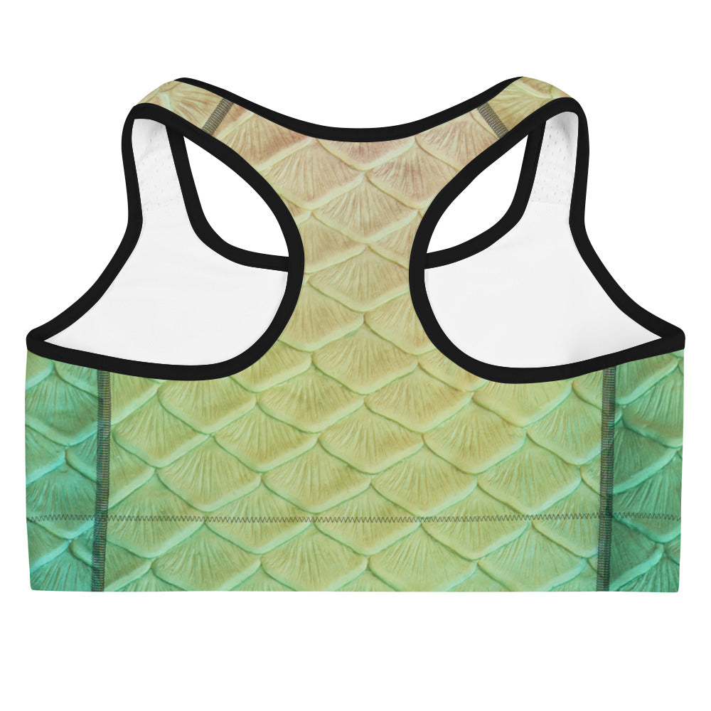 Loch Ness Sports Bra
