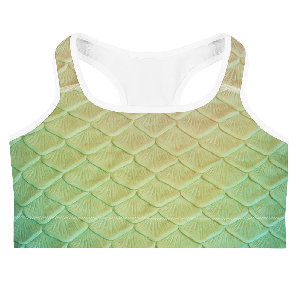 Loch Ness Sports Bra