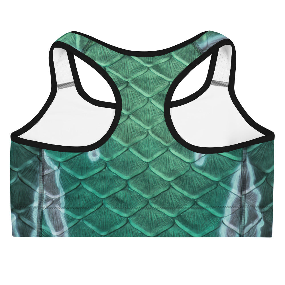 The Dark Sea Sports Bra