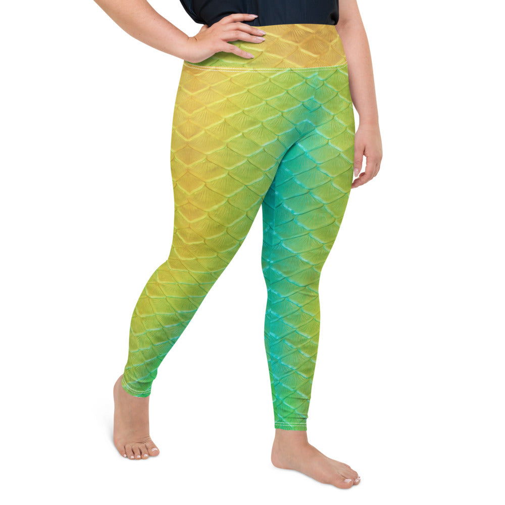 Jellyfish Jungle Plus Size Leggings