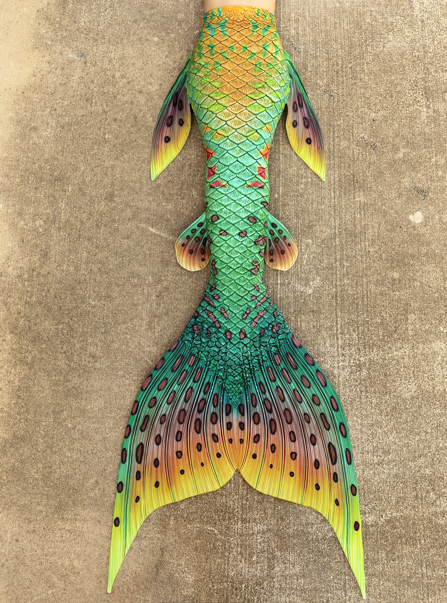 Tail of the Month: Pumpkinseed Signature Fabric Tail