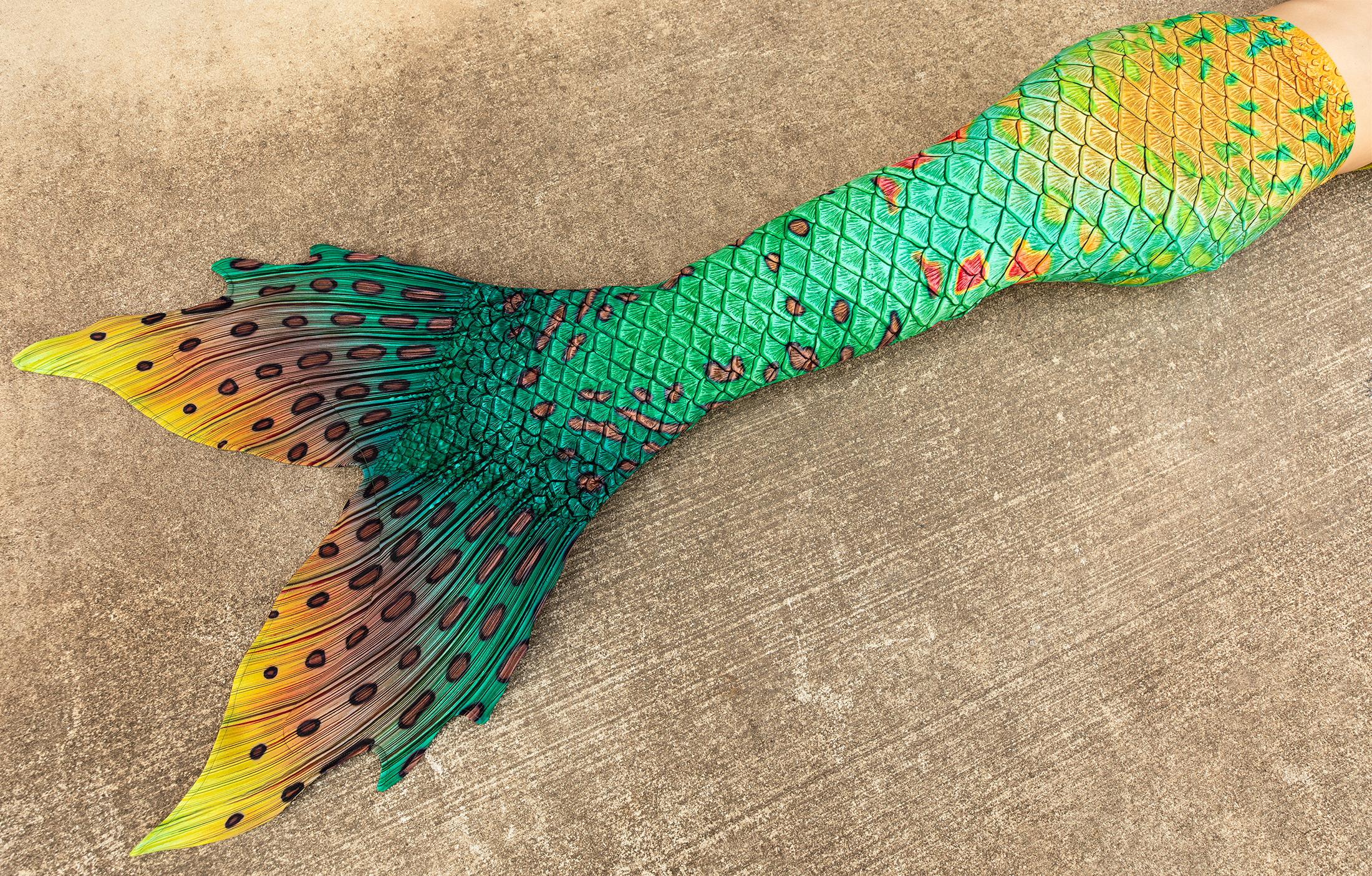 Pumpkinseed Discovery Fabric Tail