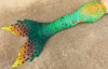 Pumpkinseed Discovery Fabric Tail