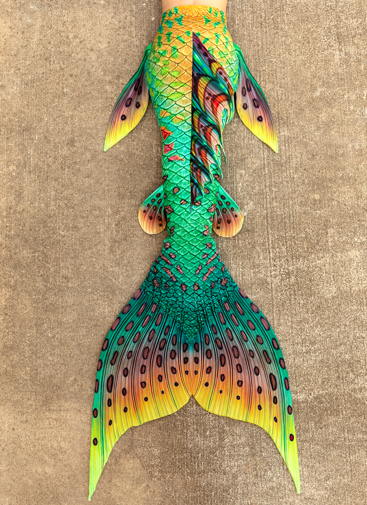 Tail of the Month: Pumpkinseed Signature Fabric Tail